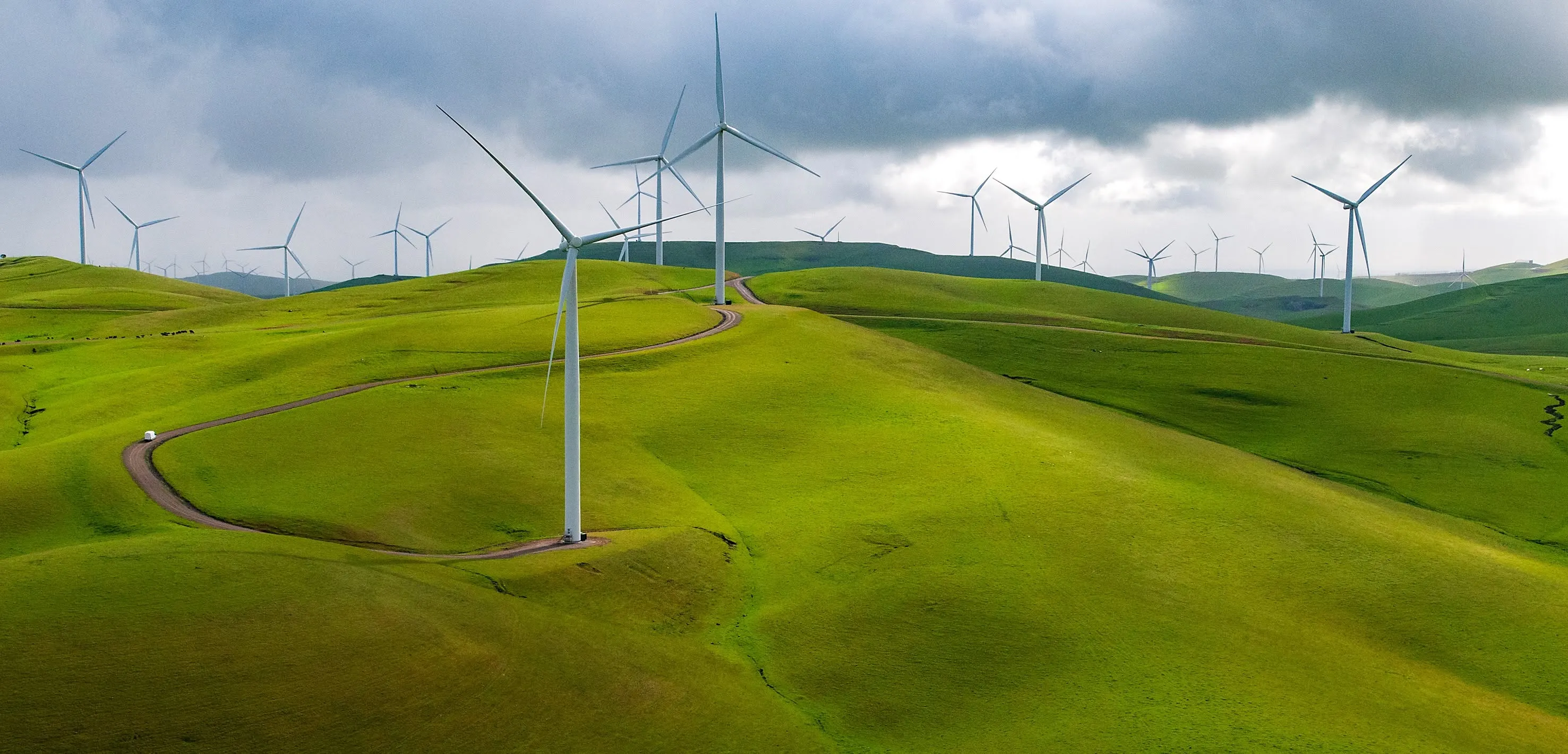 Wind turbines crossing green rolling hills in the Bay Area