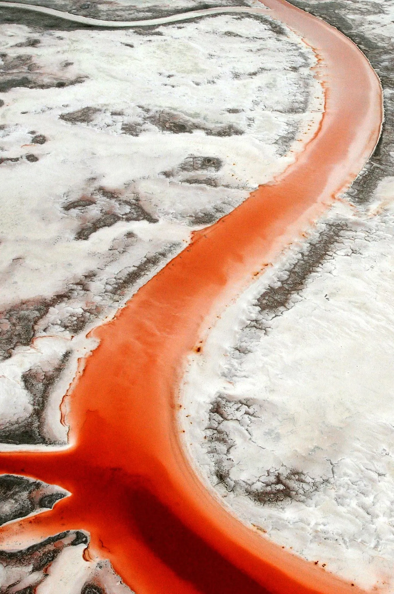 Red salt-pond channel winding through pale South Bay salt flats