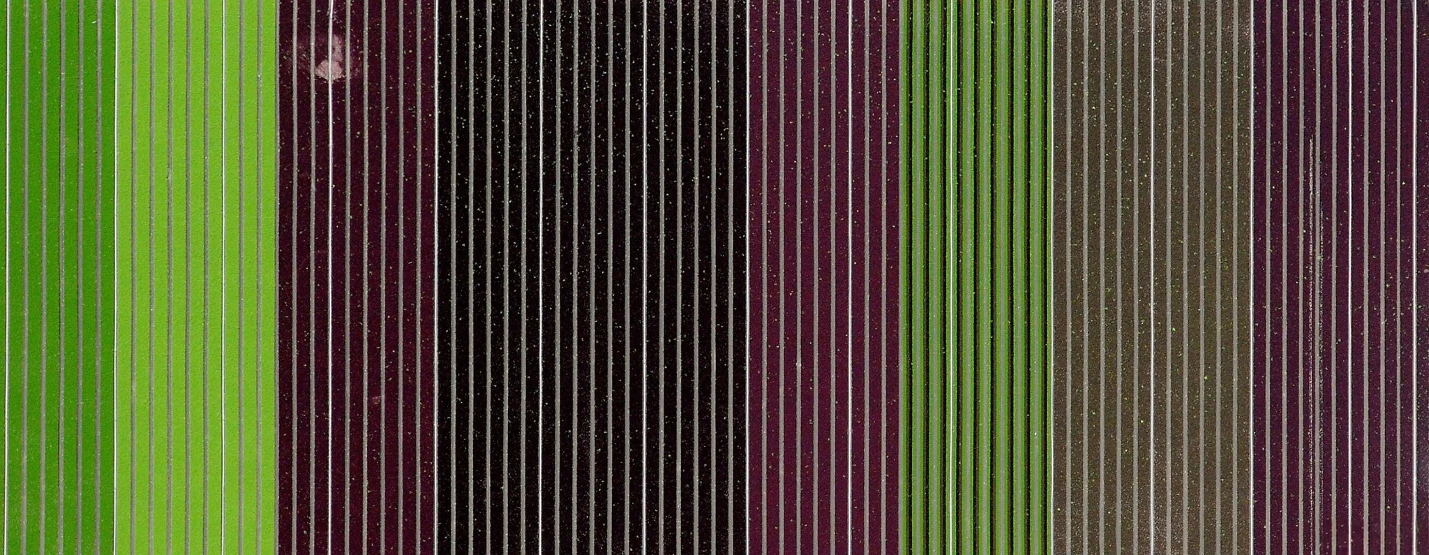 Alternating rows of berry crops photographed from above