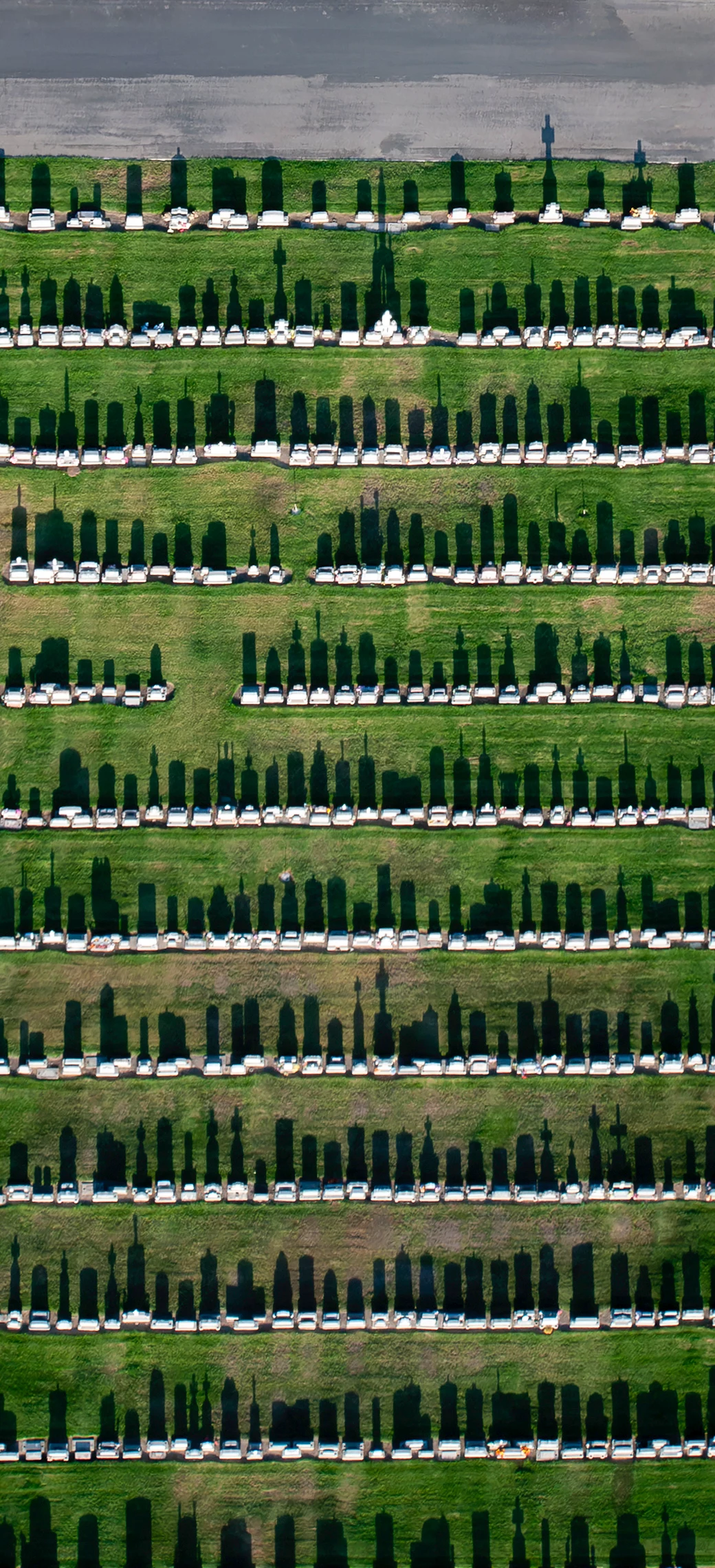 Geometric rows of cemetery plots photographed from directly above
